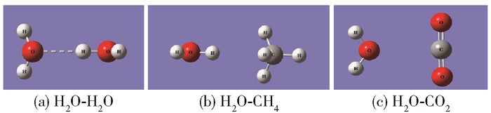 CO<sub>2</sub>置换CH<sub>4</sub>水合物技术中主、客体分子间作用的 