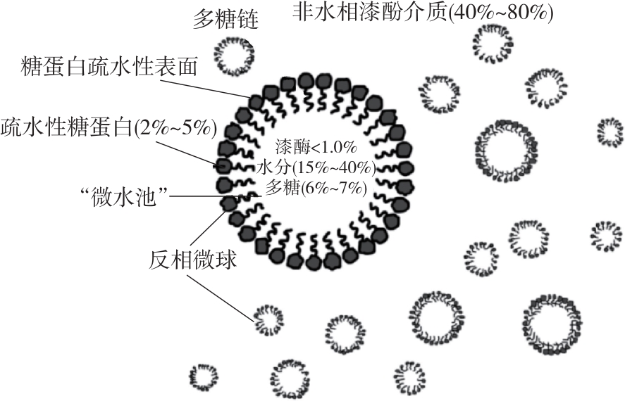 考古出土非饱水木胎漆器文物保护策略与挑战